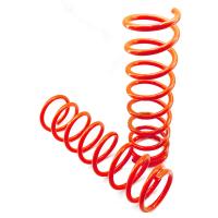 Пружины задние Технорессор ВАЗ 2123 завышенные на 50мм 2шт.